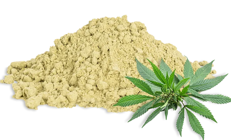 Hanfprotein