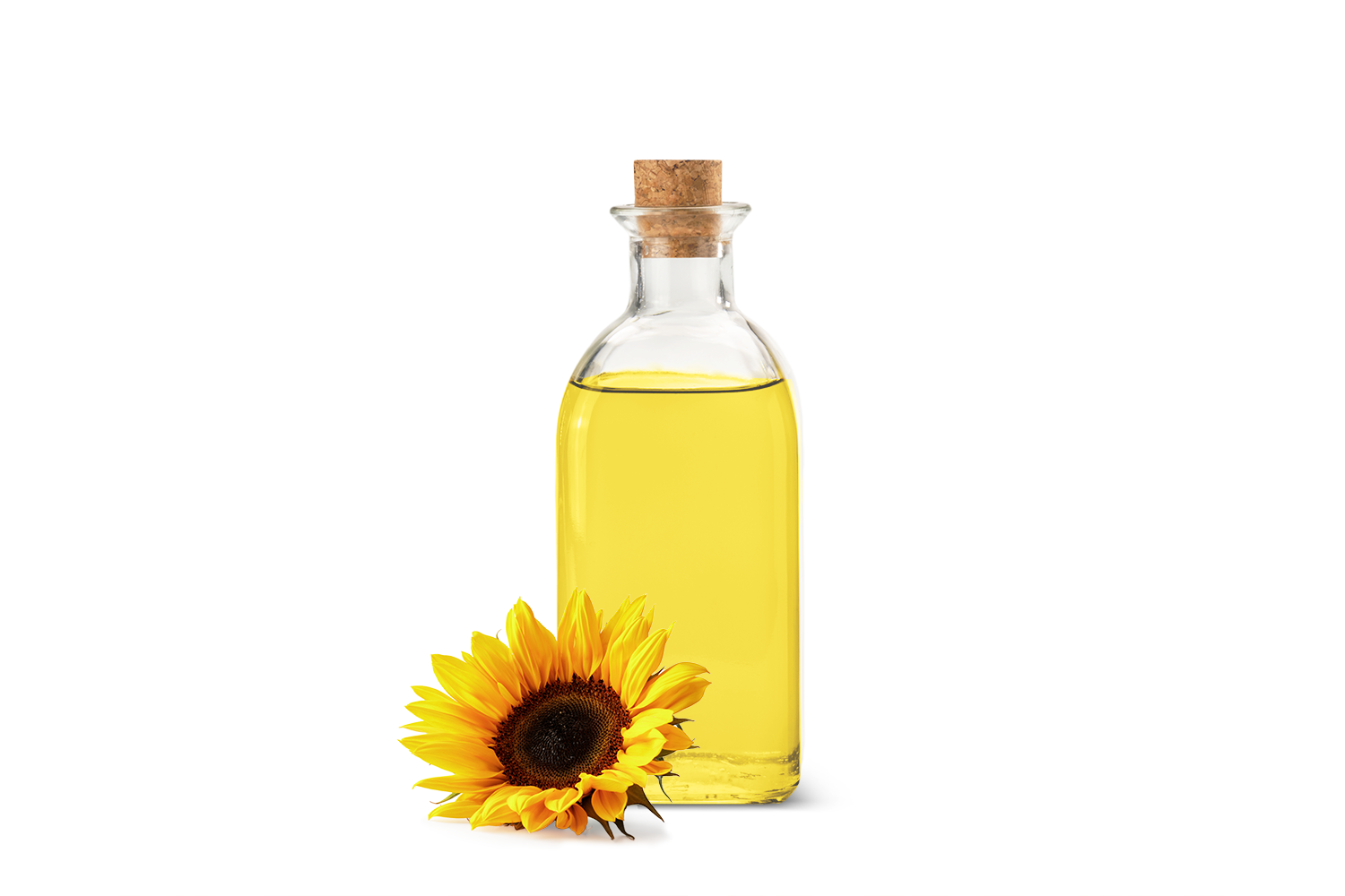 sonnenblumenöl als gleitgel ersatz Selbstbefriedigung, wie du deinen Körper richtig verwöhnst